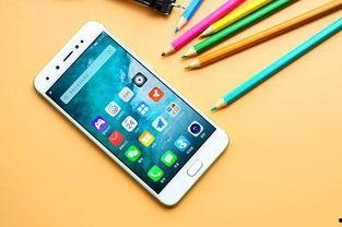 国产手机自拍,捕捉生活美好瞬间